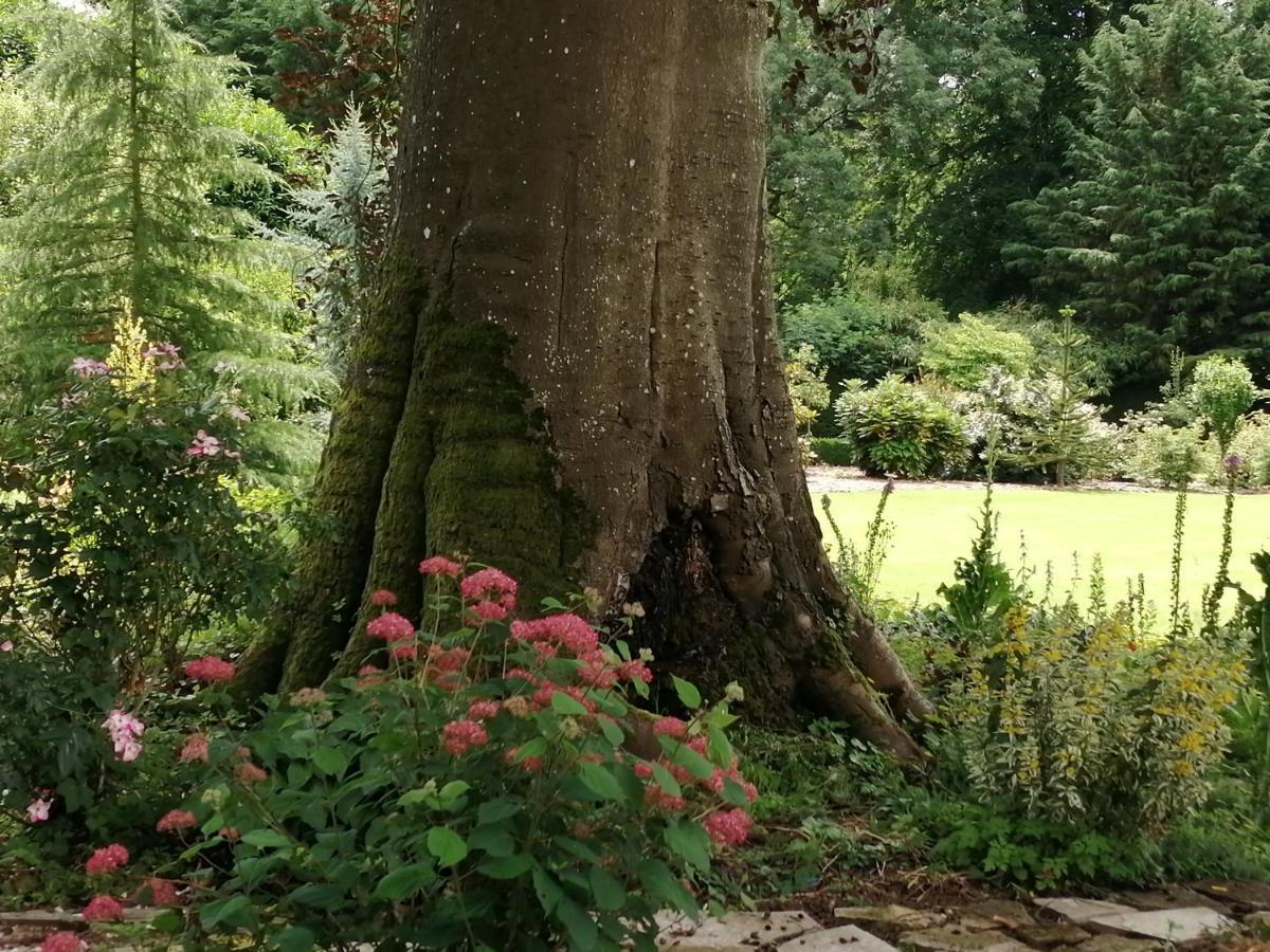 Chambre E Andre Le Domaine Des Jardins De Bracquetuit Buitenkant foto