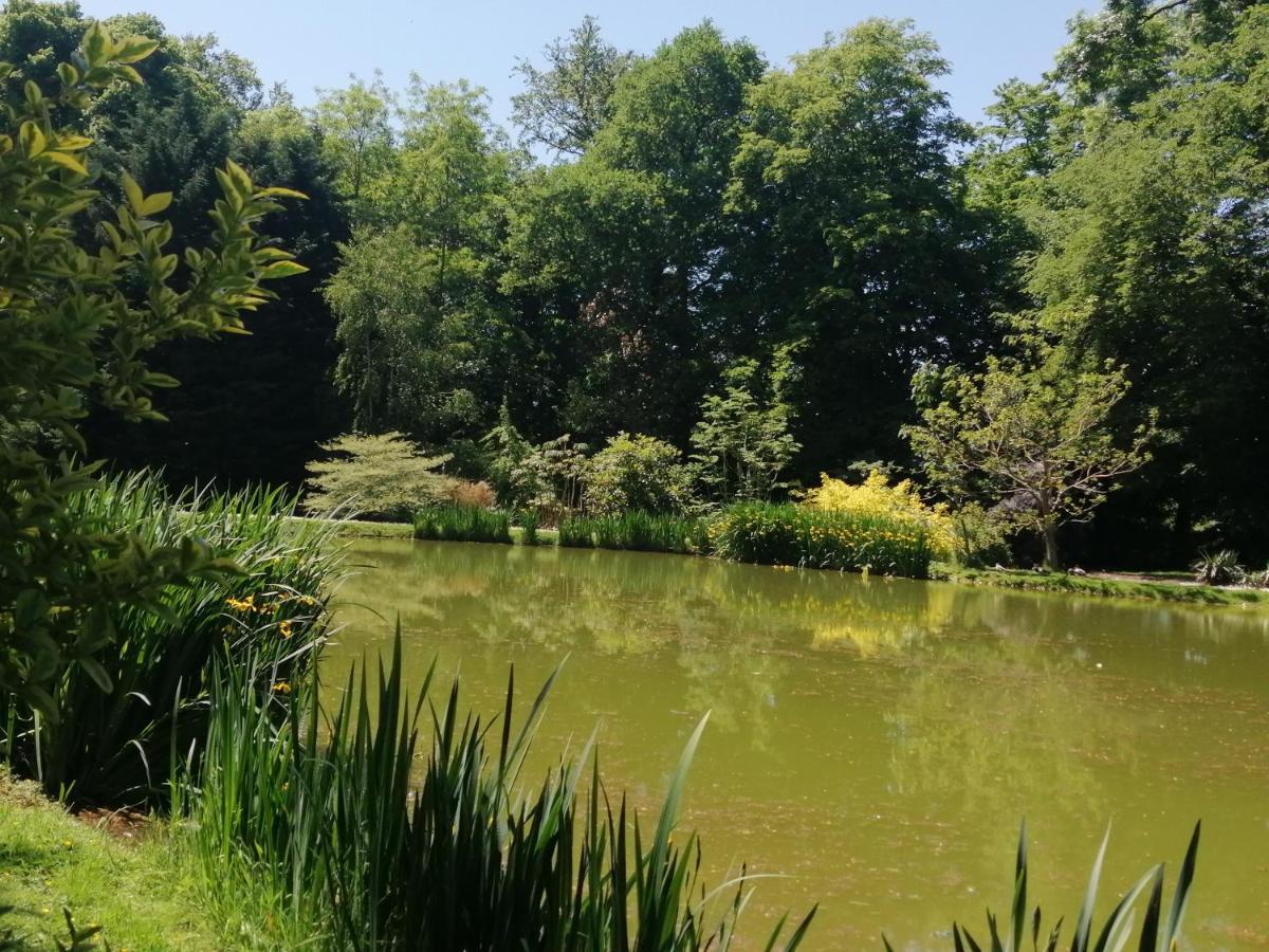 Chambre E Andre Le Domaine Des Jardins De Bracquetuit Buitenkant foto